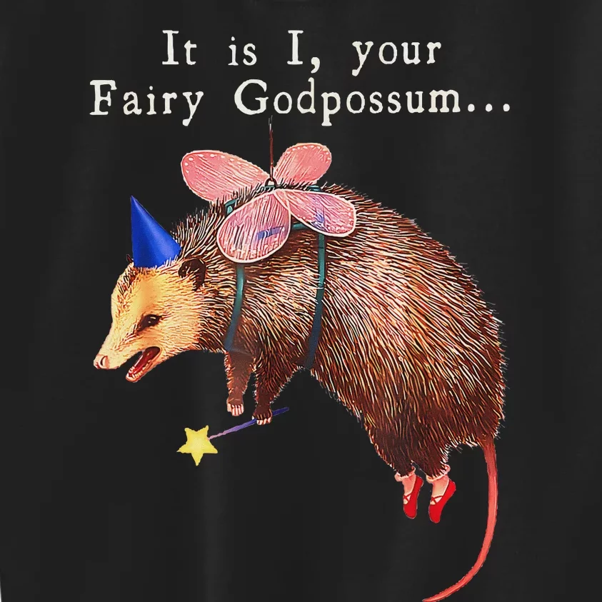 Your Fairy God Possum Funny Opossum Kids Sweatshirt