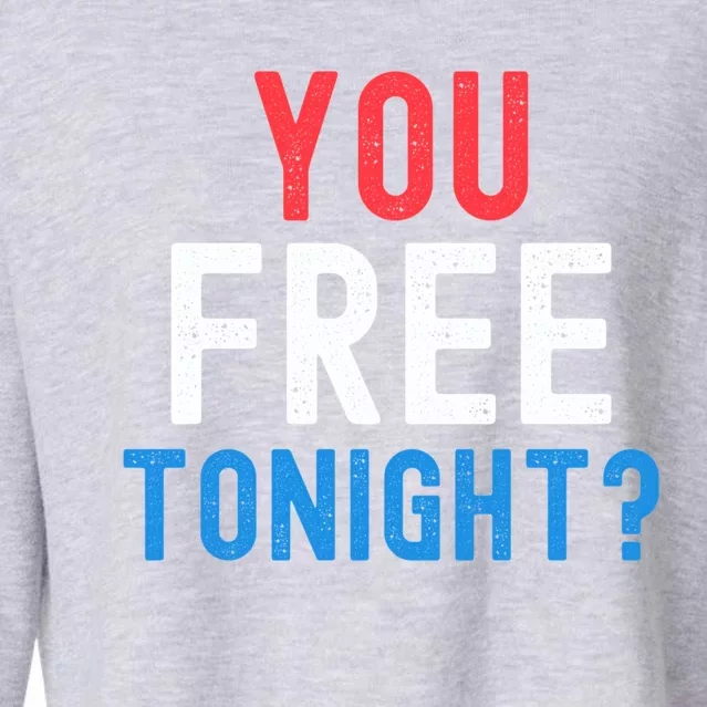 You Free Tonight? Funny Fourth Of July Humor Patriotic Great Gift Cropped Pullover Crew