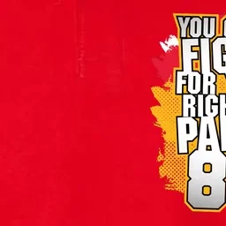 You Gotta Fight For Your Right To Party Kansas 87 Softstyle Adult Sport Polo