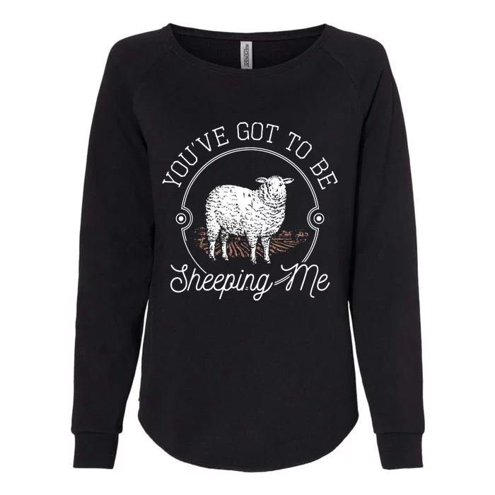 YouVe Got To Be Shipping Me Womens California Wash Sweatshirt