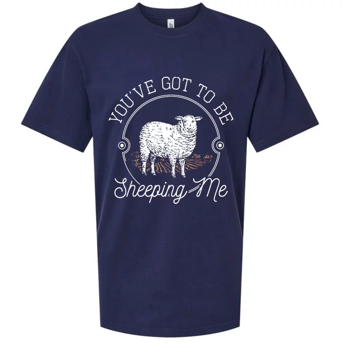 YouVe Got To Be Shipping Me Sueded Cloud Jersey T-Shirt