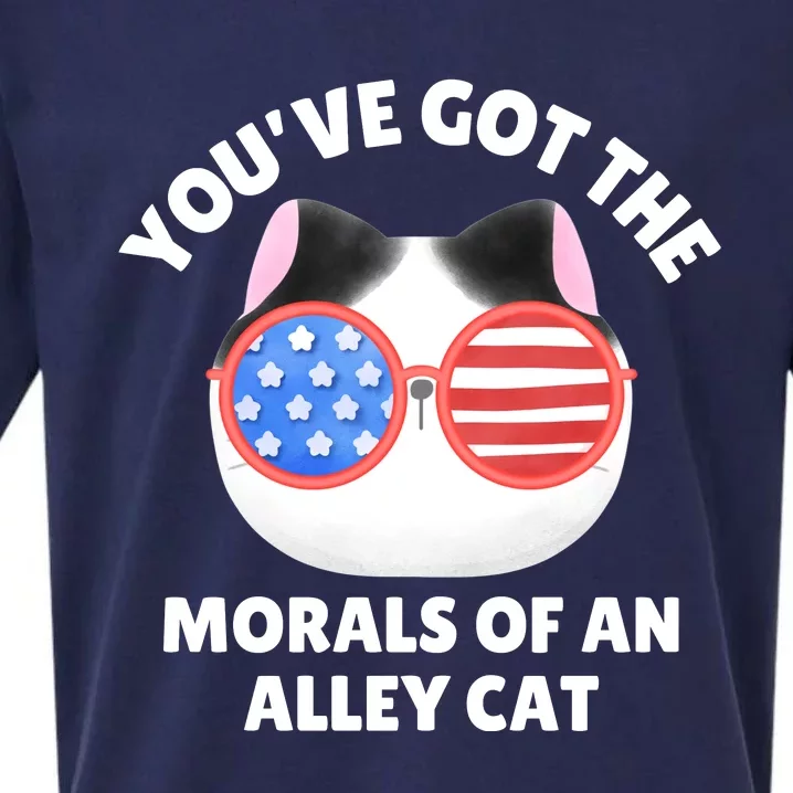 You’Ve Got The Morals Of An Alley Cat Sueded Cloud Jersey T-Shirt