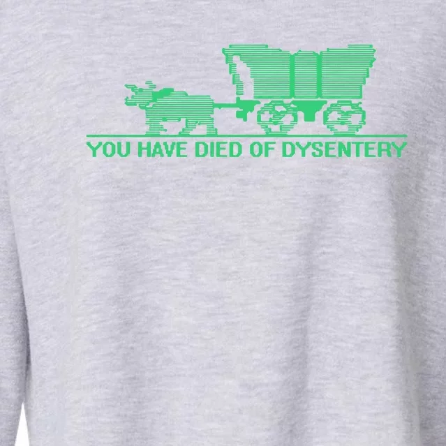 You Have Died Of Dysentery Cropped Pullover Crew