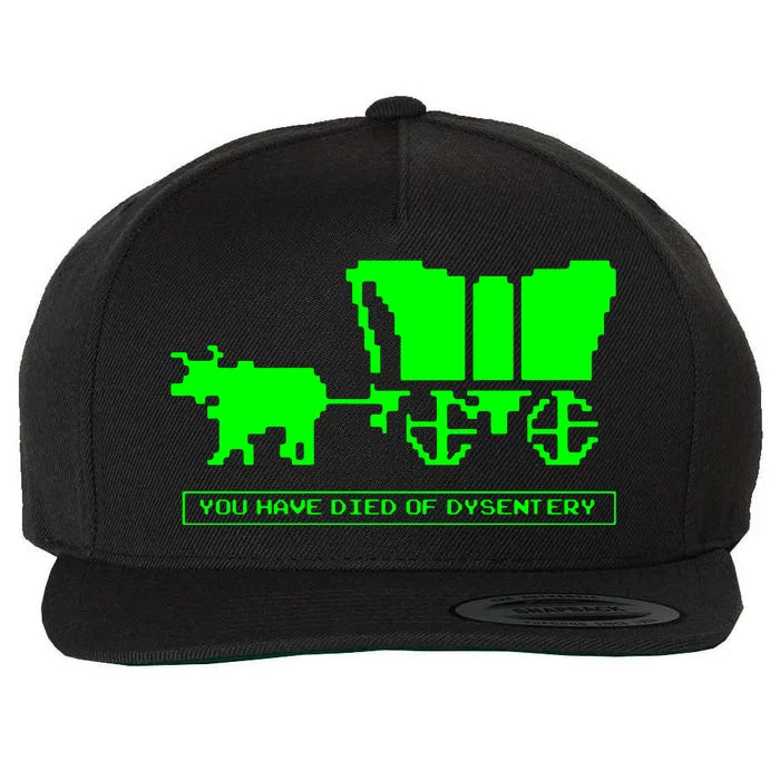 You Have Died Of Dysentery Wool Snapback Cap