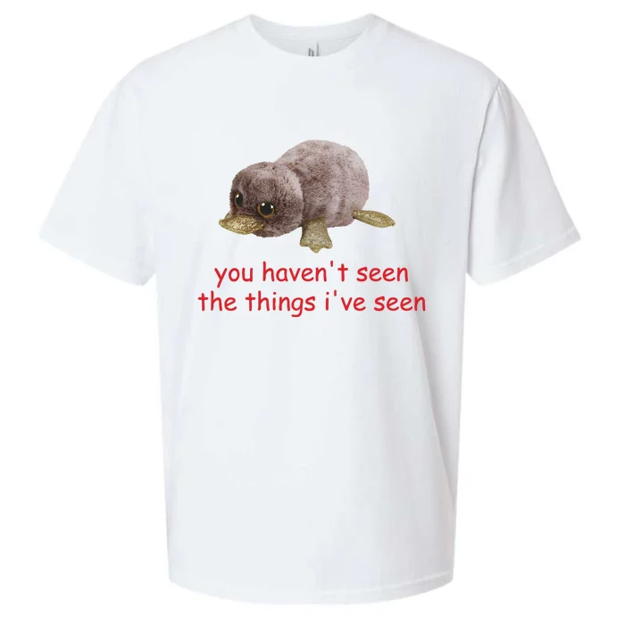 You HavenT Seen The Things IVe Seen Sueded Cloud Jersey T-Shirt