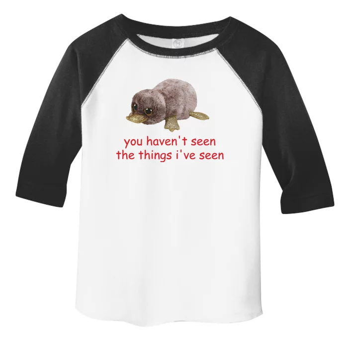 You HavenT Seen The Things IVe Seen Toddler Fine Jersey T-Shirt