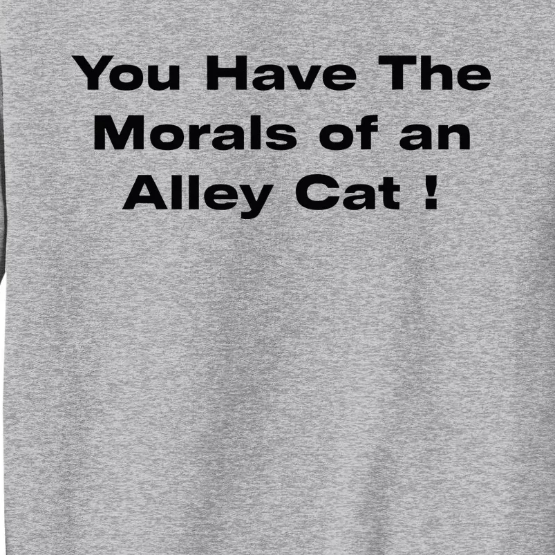 You Have The Morals Of An Alley Cat Trump Biden Debates 2024 Tall Sweatshirt