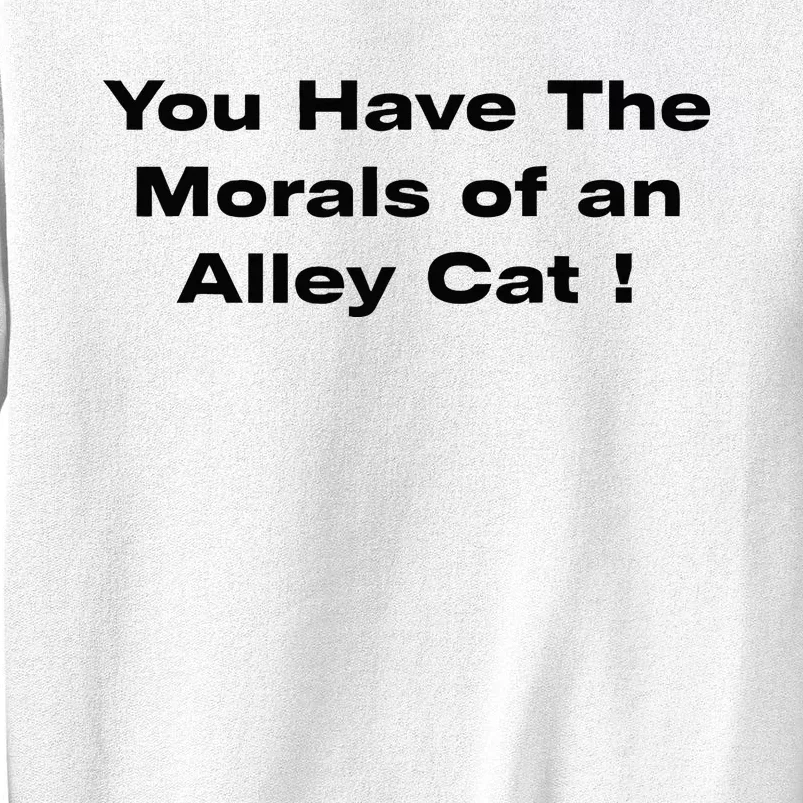 You Have The Morals Of An Alley Cat Trump Biden Debates 2024 Sweatshirt