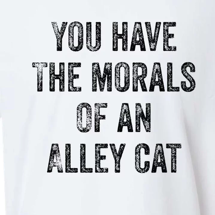 You Have The Morals Of An Alley Cat Sueded Cloud Jersey T-Shirt