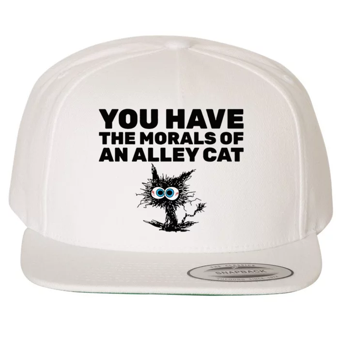 You Have The Morals Of An Alley Cat Wool Snapback Cap