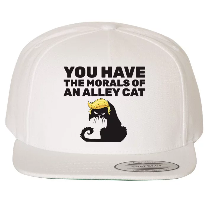 You Have The Morals Of An Alley Cat Wool Snapback Cap