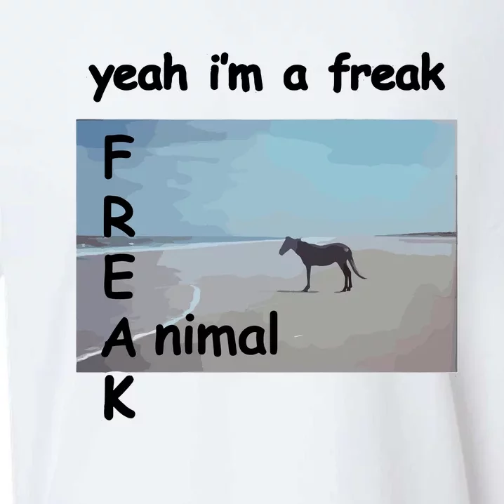 Yeah Im A Freak Animal Funny Horse Sueded Cloud Jersey T-Shirt