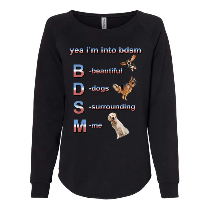 Yea I'm Into Bdsm (Beautiful Dogs Surrounding Me) Womens California Wash Sweatshirt