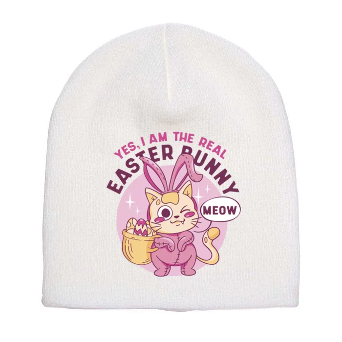 Yes I'm The Real Easter Bunny Funny Cat Short Acrylic Beanie