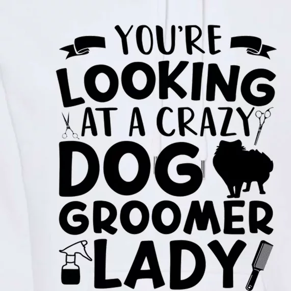 YouRe Looking At A Crazy Dog Groomer Lady Dog Grooming Premium Hoodie