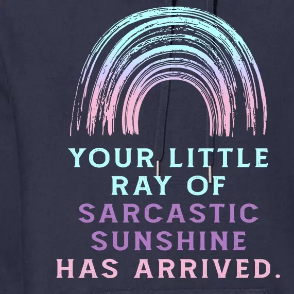 Your Little Ray Of Sarcastic Sunshine Has Arrived Premium Hoodie