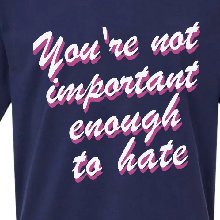 Youre Not Important Enough To Hate Vanderpump Rules  Bravo Gift Sueded Cloud Jersey T-Shirt