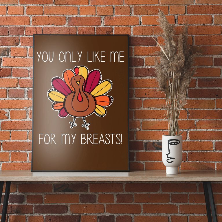 You Only Like Me For The Breasts Funny Turkey Poster