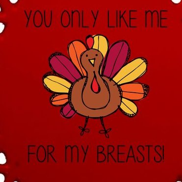 You Only Like Me For The Breasts Funny Turkey Oval Ornament