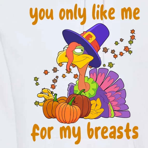 You Only Like Me For My Breasts Funny Thanksgiving Turkey Premium Hoodie