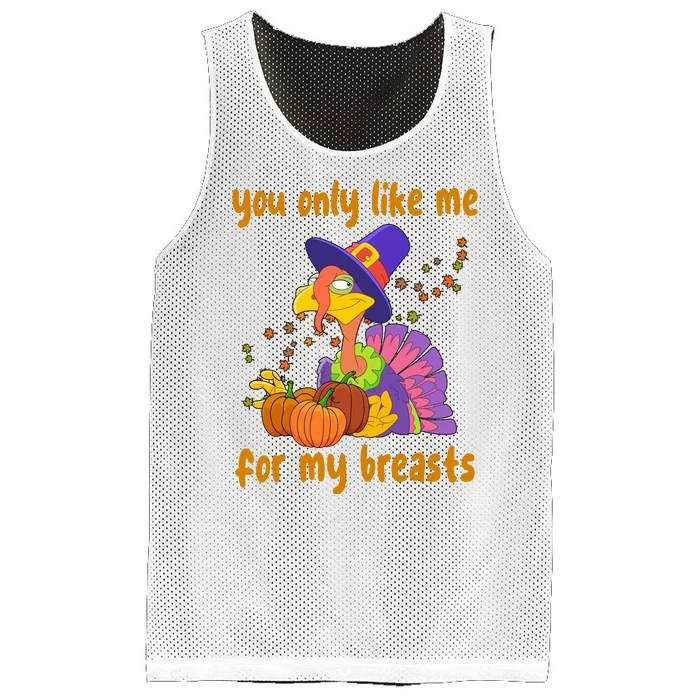 You Only Like Me For My Breasts Funny Thanksgiving Turkey Mesh Reversible Basketball Jersey Tank