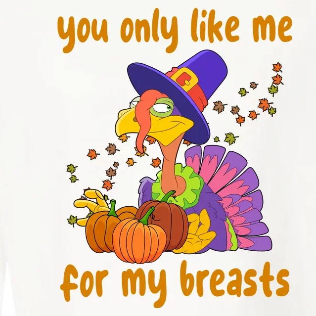 You Only Like Me For My Breasts Funny Thanksgiving Turkey Cropped Pullover Crew