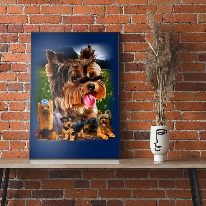 Yorkshire Terrier Poster