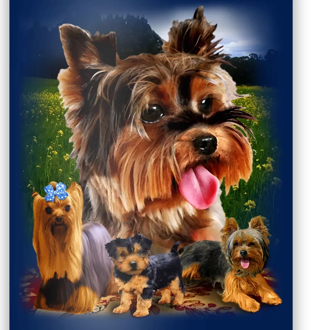 Yorkshire Terrier Poster