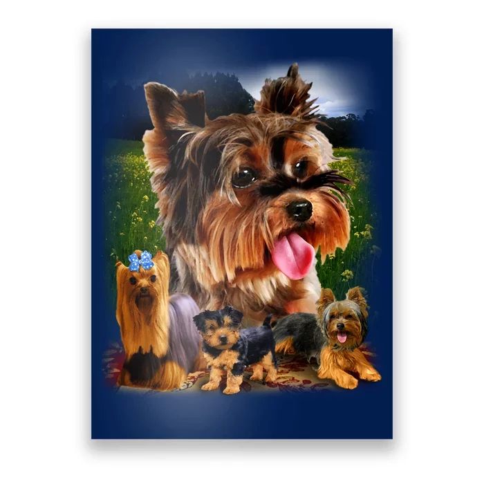 Yorkshire Terrier Poster