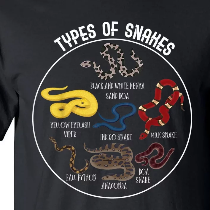 Ypes Of Snakes Educational Serpent 7 Different Snake Tall T-Shirt