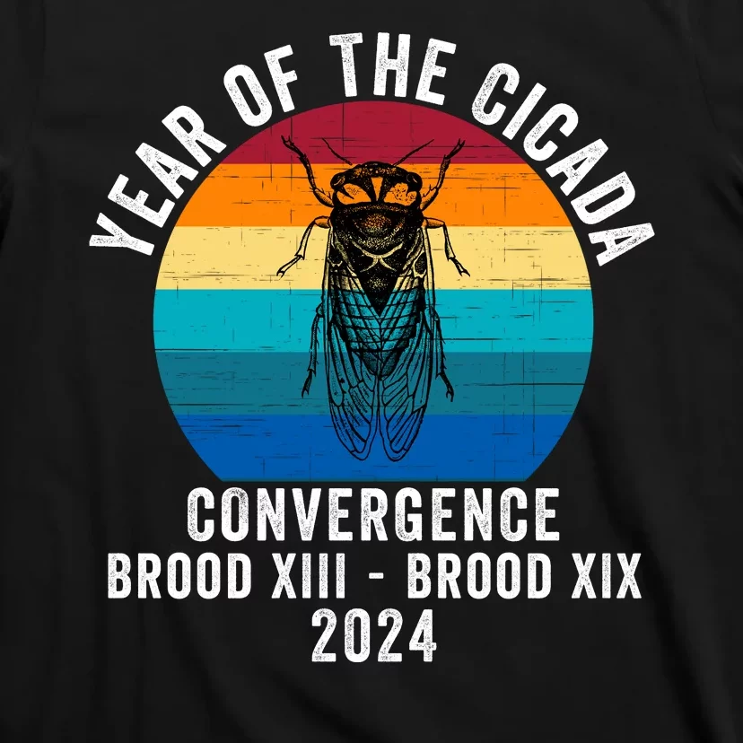 Year Of The Cicada Convergence Brood Xiii Brood Xix 2024 T-Shirt