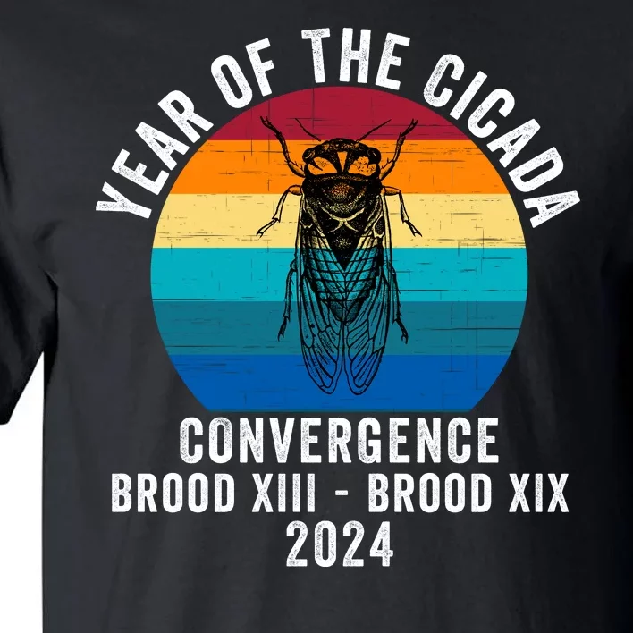 Year Of The Cicada Convergence Brood Xiii Brood Xix 2024 Tall T-Shirt