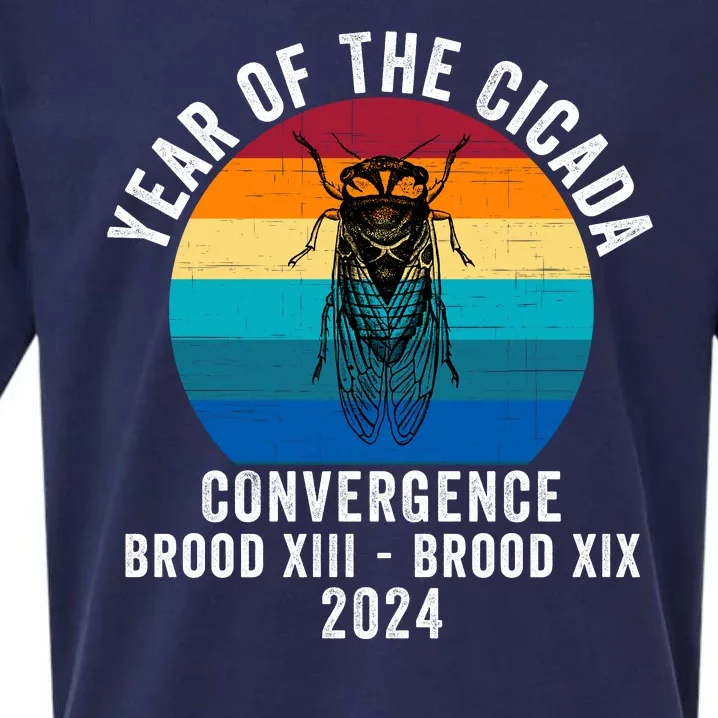 Year Of The Cicada Convergence Brood Xiii Brood Xix 2024 Sueded Cloud Jersey T-Shirt