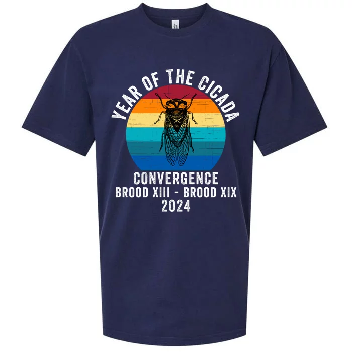 Year Of The Cicada Convergence Brood Xiii Brood Xix 2024 Sueded Cloud Jersey T-Shirt