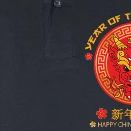 Year Of The Dragon 2024 Lunar New Year Chinese New Year 2024 Softstyle Adult Sport Polo