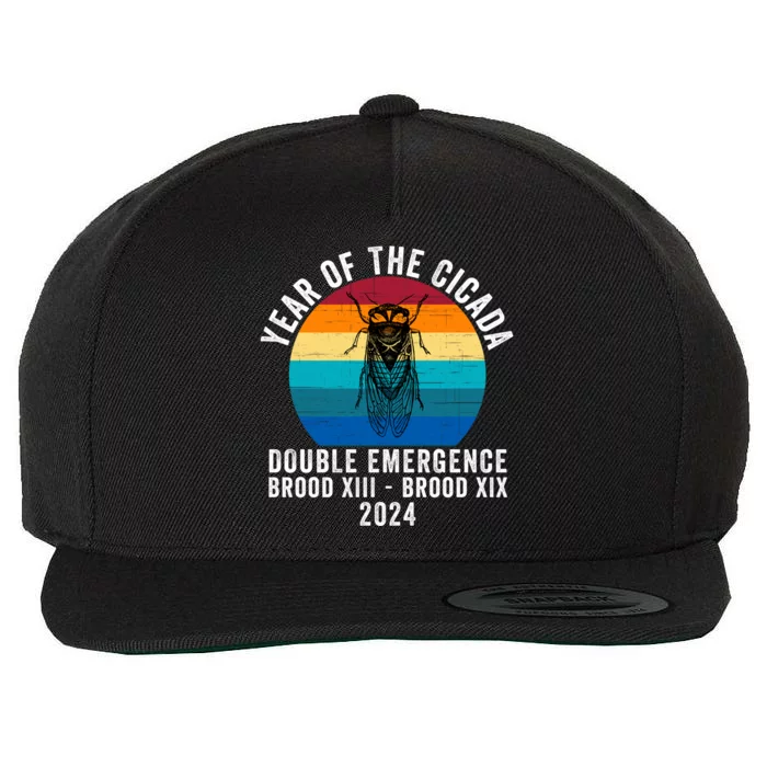 Year Of The Cicada Double Emergence Brood Xiii Brood Xix 2024 Wool Snapback Cap