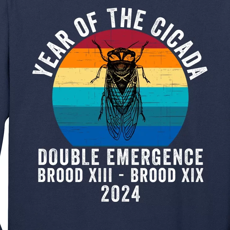 Year Of The Cicada Double Emergence Brood Xiii Brood Xix 2024 Long Sleeve Shirt