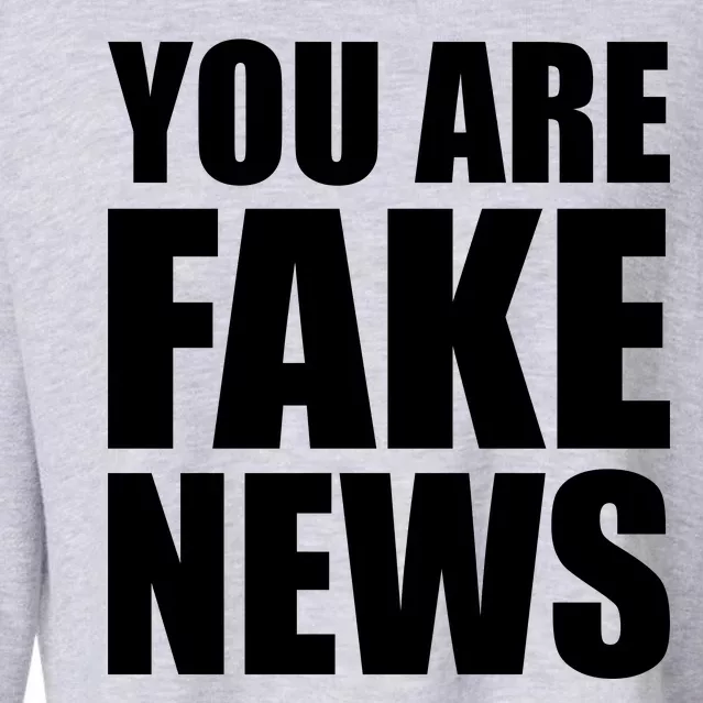 You Are Fake News #FAKENEWS Cropped Pullover Crew