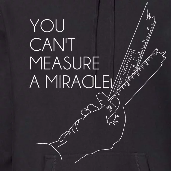 You Can't Measure A Miracle Funny Meme Premium Hoodie