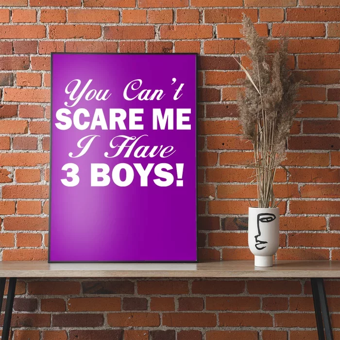 You Can't Scare Me I Have 3 Boys Poster