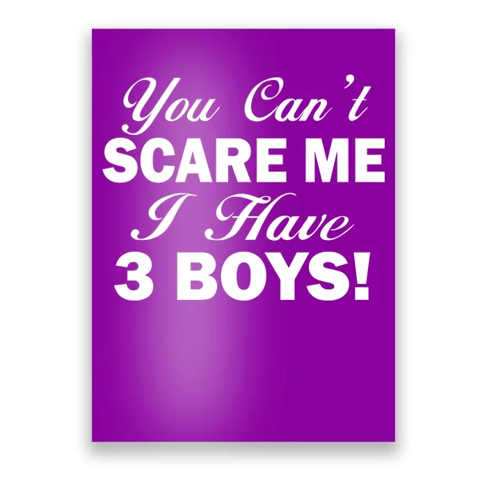 You Can't Scare Me I Have 3 Boys Poster