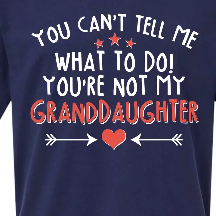 You Can't Tell Me What To Do! You're Not My Granddaughter Sueded Cloud Jersey T-Shirt