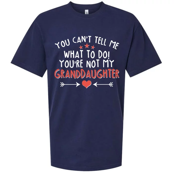 You Can't Tell Me What To Do! You're Not My Granddaughter Sueded Cloud Jersey T-Shirt