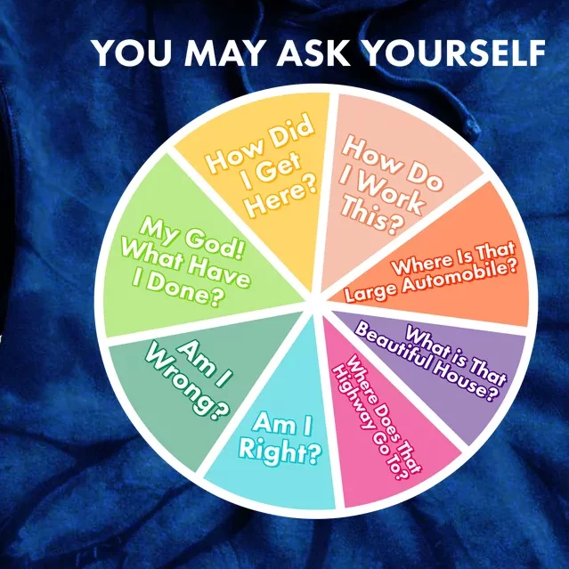 You May Ask Yourself Pie Chart Tie Dye Hoodie