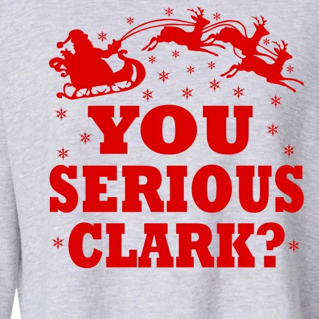 You Serious Clark? Cropped Pullover Crew