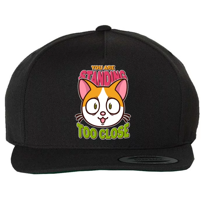 Your Standing Too Close Social Distancing Cat Wool Snapback Cap