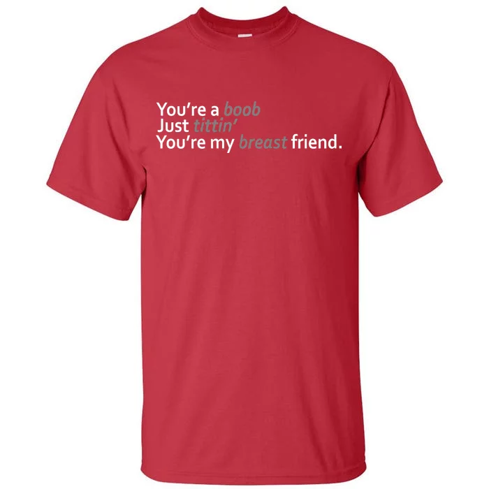 You're A Boob Just Tittin You're My Breast Friend Tall T-Shirt