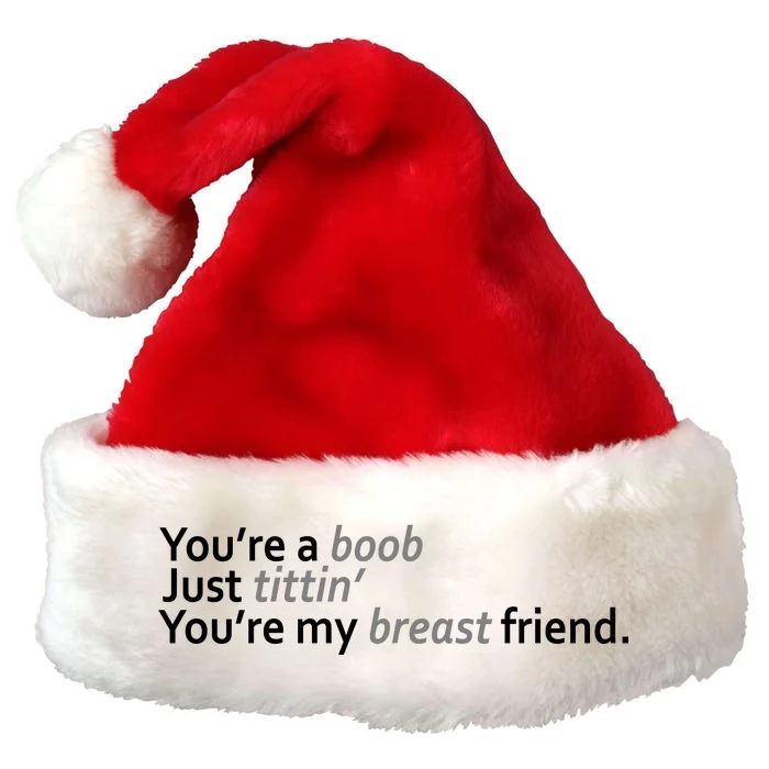 You're A Boob Just Tittin You're My Breast Friend Premium Christmas Santa Hat