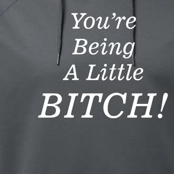 You're Being A Little Bitch Performance Fleece Hoodie