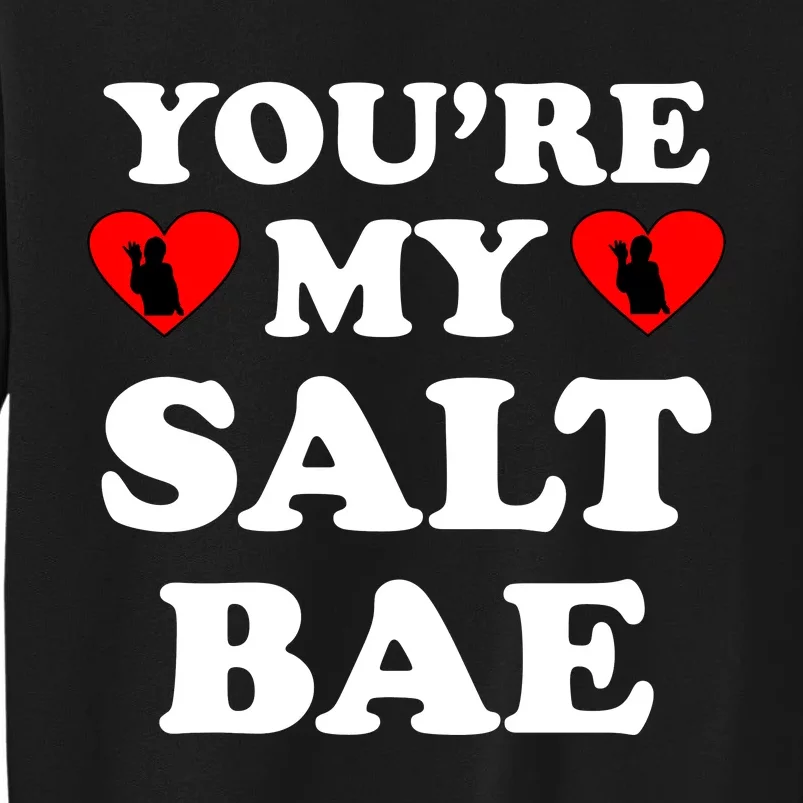 You're My Salt Bae Funny Trending Meme Sweatshirt